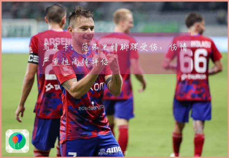 乌度卡：范弗里特脚踝受伤，伤情严重性尚待评估