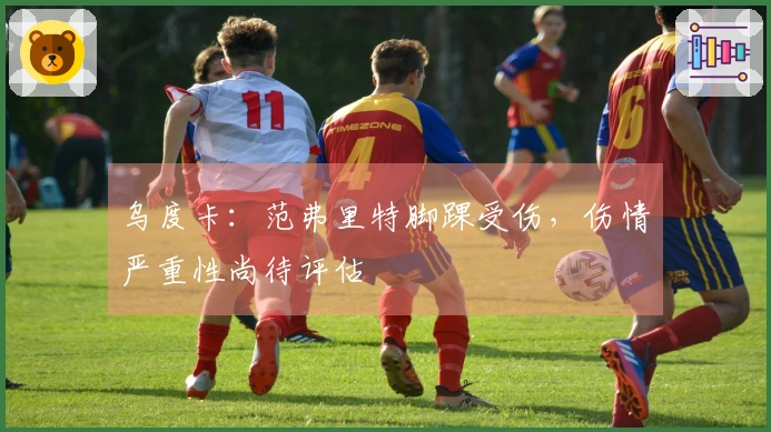 乌度卡：范弗里特脚踝受伤，伤情严重性尚待评估